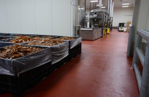 Example of Failing Floors in Food Manufacturing