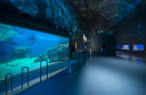 Flowcrete Helps Aquarium Achieve an Underwater Illusion