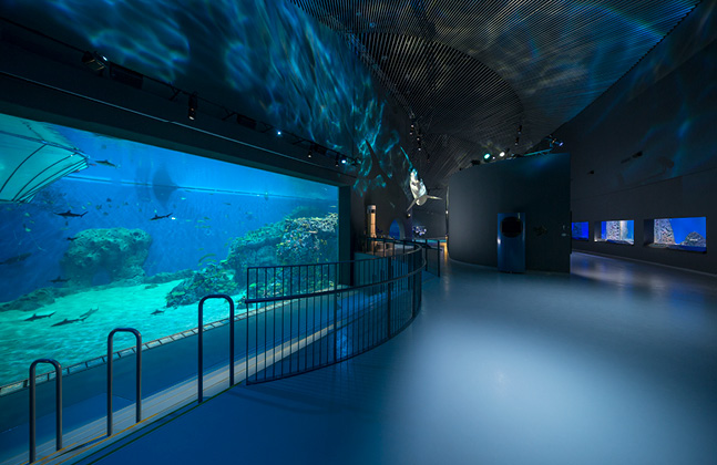 Flowcrete Helps Aquarium Achieve an Underwater Illusion2