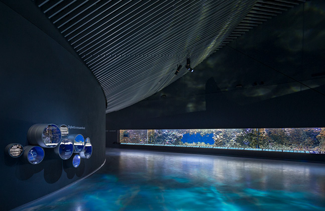 Flowcrete Helps Aquarium Achieve an Underwater Illusion3
