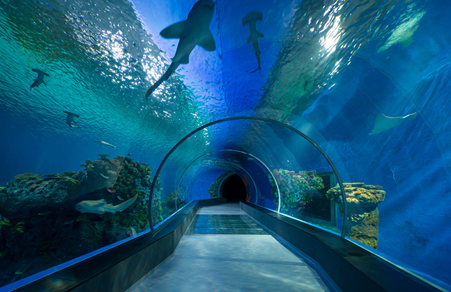 Flowcrete Helps Aquarium Achieve an Underwater Illusion5