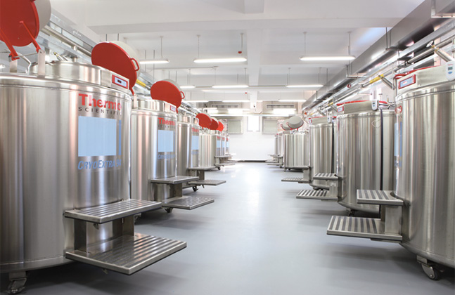 Top Coving Tips for Food & Beverage Facilities