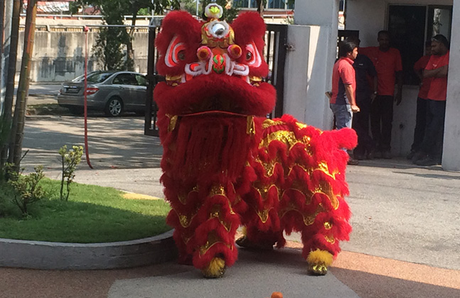 A Scintillating Lion Dance To Welcome Chinese New Year3