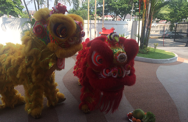 A Scintillating Lion Dance To Welcome Chinese New Year4