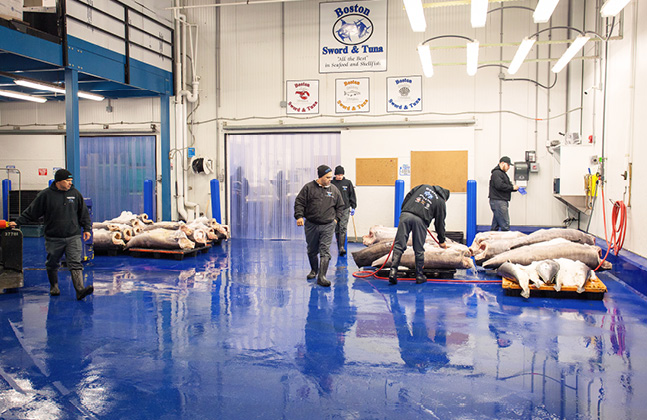 All Hands on Deck as Flowcrete Bolsters Boston Seafood Processing Project4