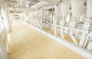 Bakhresa Transforms Aging Durban Plant into Brand New Flour Mill!