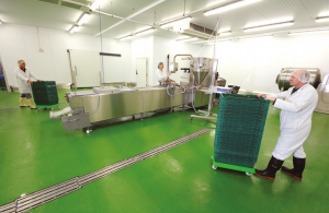 Food Safe Flooring Facts for World Health Day