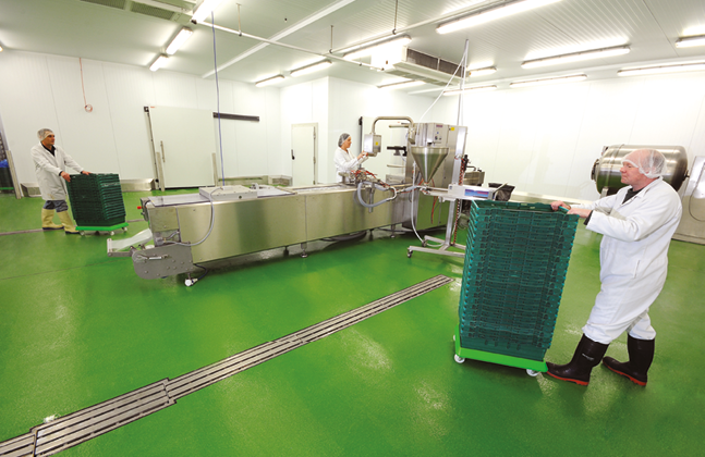 Food Safe Flooring Facts for World Health Day2