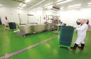 New Seminar Explores Floor Failure Costs for Food Manufacturers