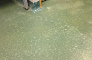A Short Guide to Moisture Related Floor Damage- Why Does it Happen?